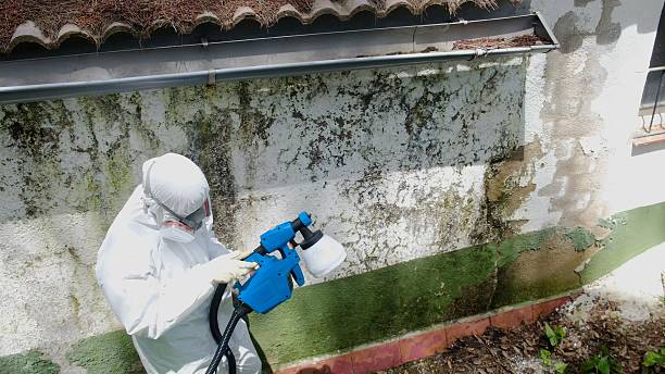 Top rated local Commercial Mold Remediation specialists in Monrovia, MD